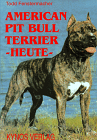 American Pit bull Terrier heute